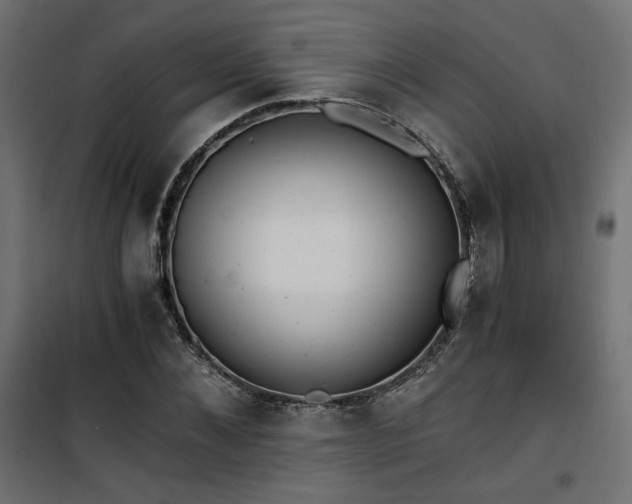 X0000101440876200807141303