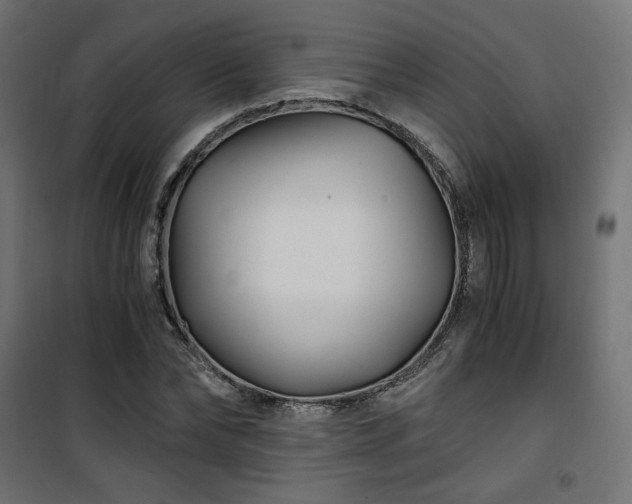 X0000101440878200807141303