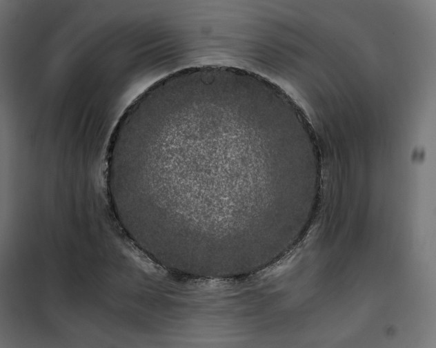 X0000101440879200807141303