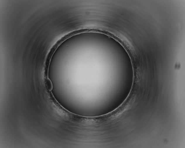 X0000101440880200807141303