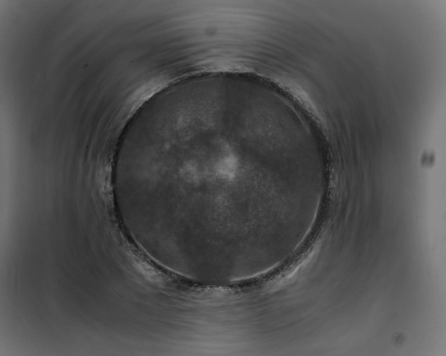 X0000101440881200807141303