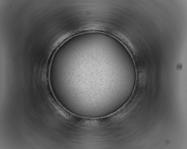 X0000101440882200807141303