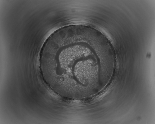 X0000101440883200807141303