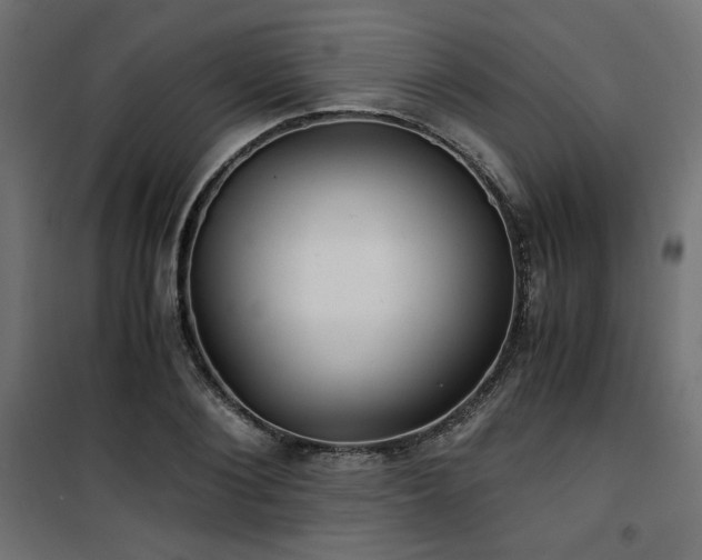 X0000101440884200807141303