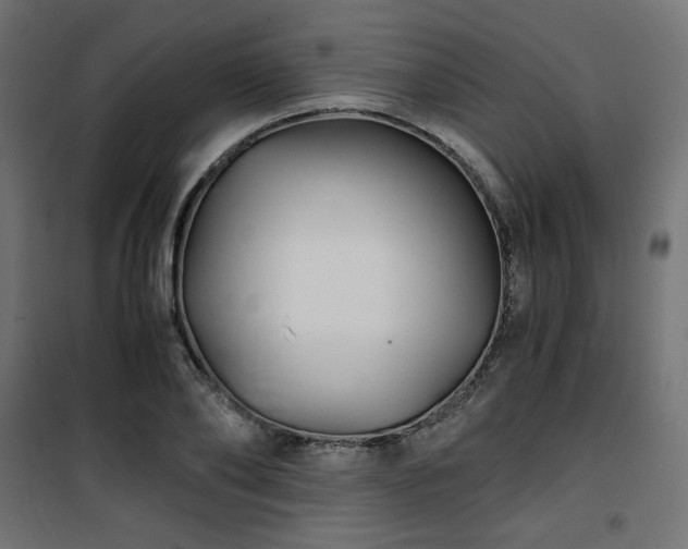 X0000101440886200807141303