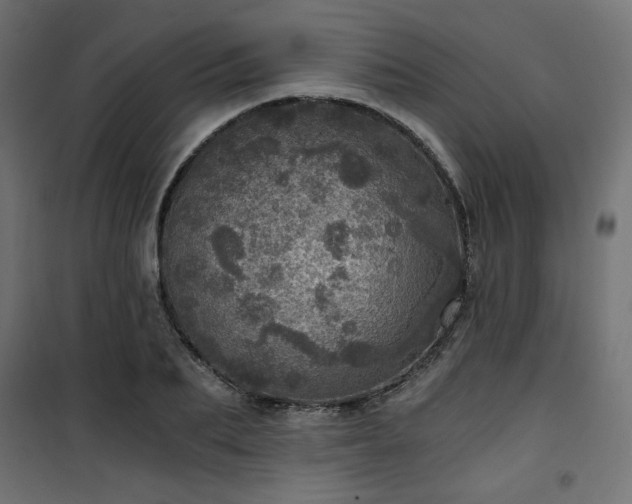 X0000101440887200807141303