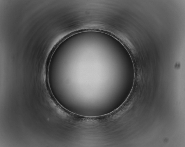 X0000101440888200807141303