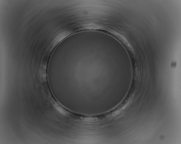 X0000101440889200807141303