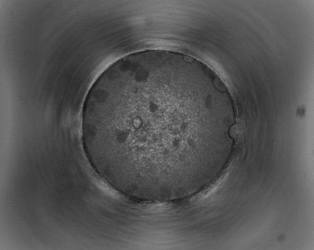 X0000101440891200807141303