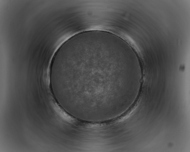 X0000101440892200807141303