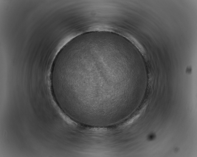 X0000101440893200807141303