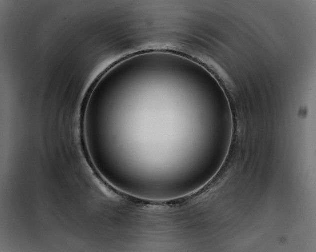 X0000101440894200807141303