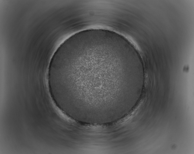 X0000101440895200807141303