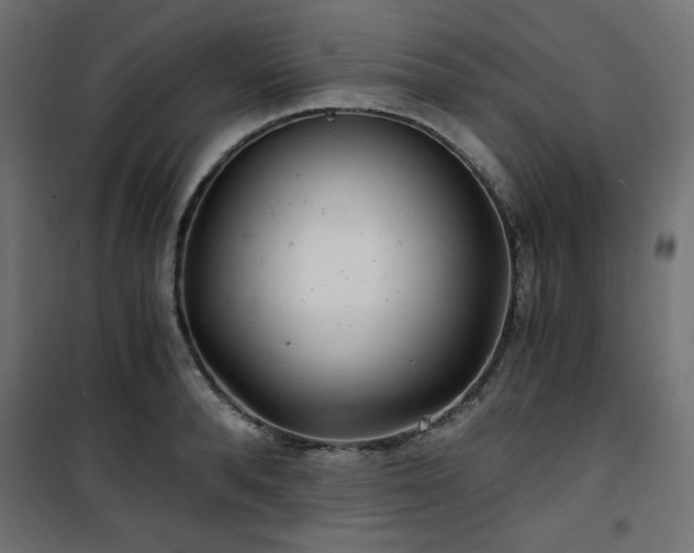 X0000101440896200807141303