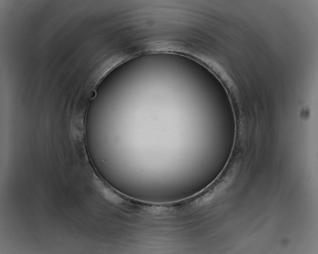 X0000101440897200807141303