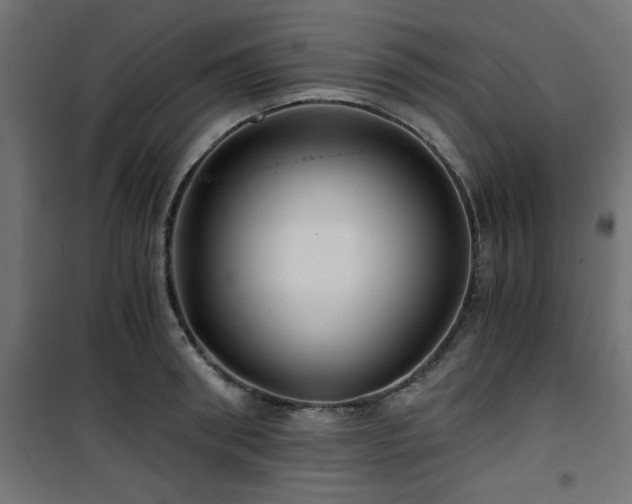 X0000101440898200807141303