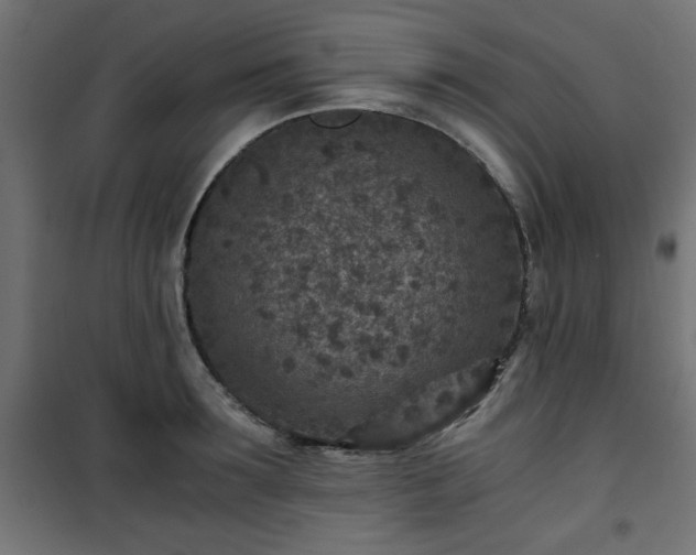 X0000101440899200807141303