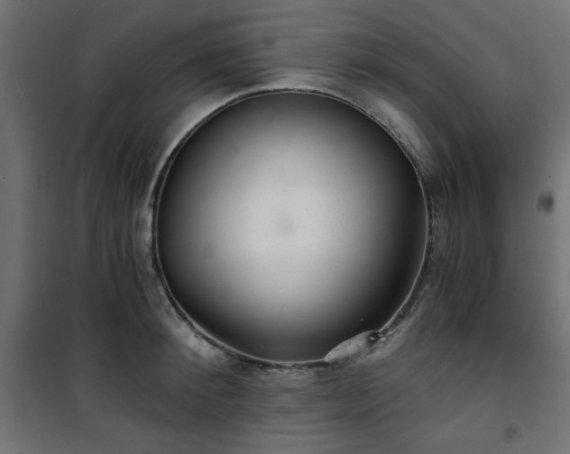 X0000101440900200807141303