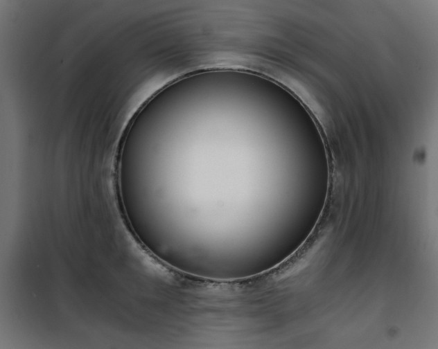 X0000101440901200807141303