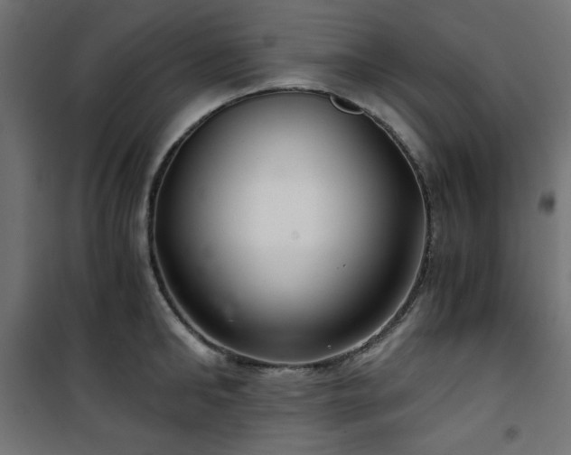 X0000101440902200807141303