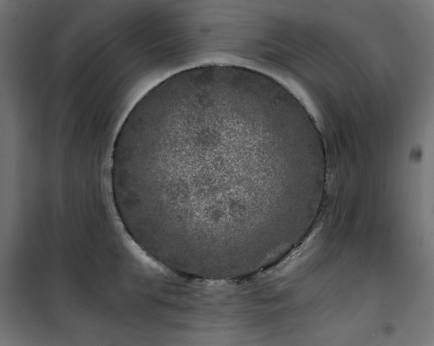 X0000101440903200807141303