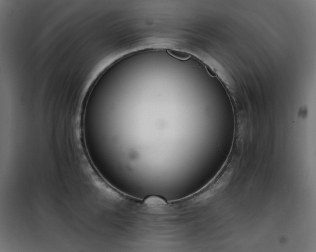 X0000101440904200807141303