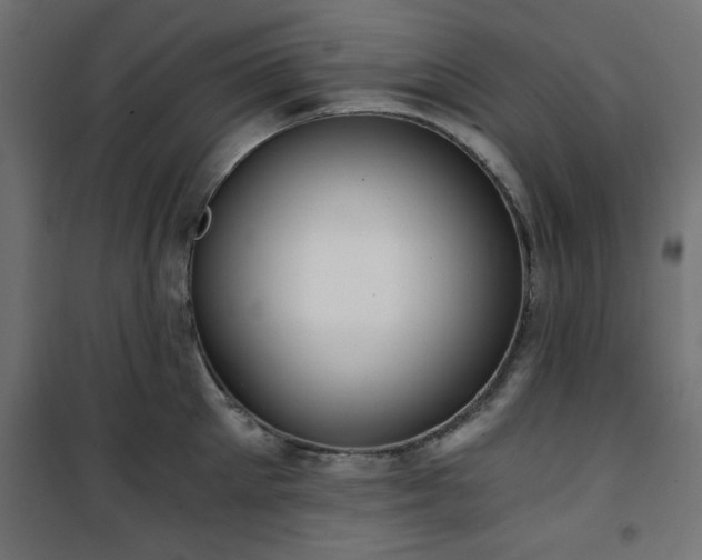 X0000101440905200807141303