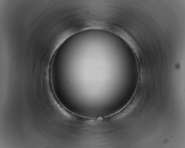 X0000101440906200807141303