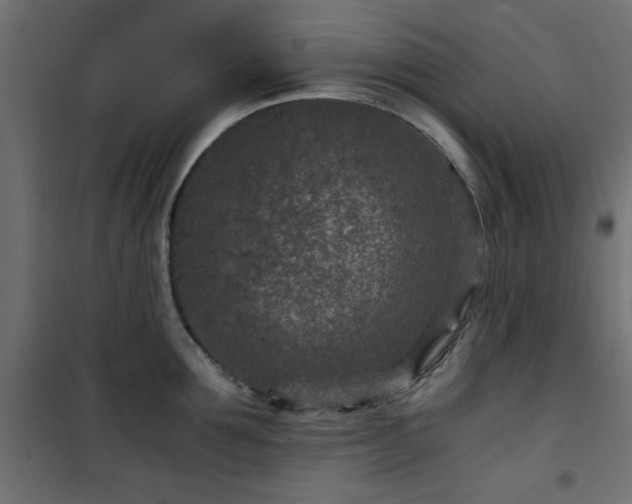 X0000101440907200807141303