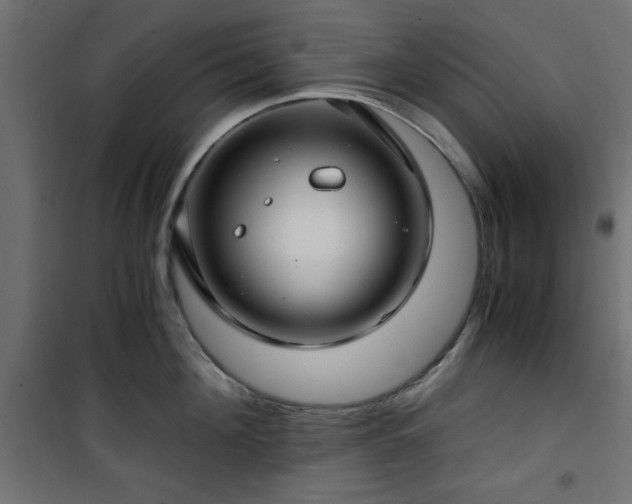 X0000101440908200807141303