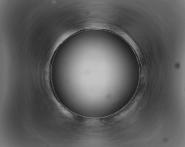 X0000101440909200807141303