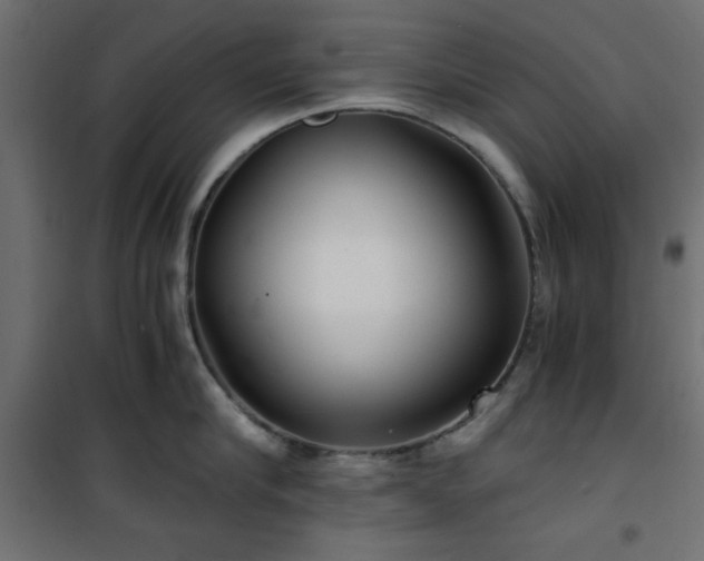 X0000101440910200807141303