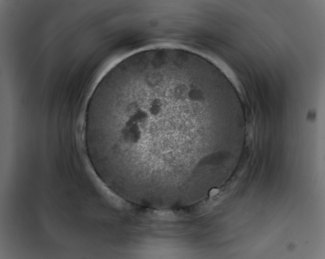 X0000101440911200807141303