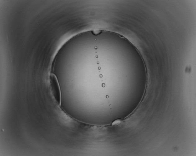 X0000101440912200807141303