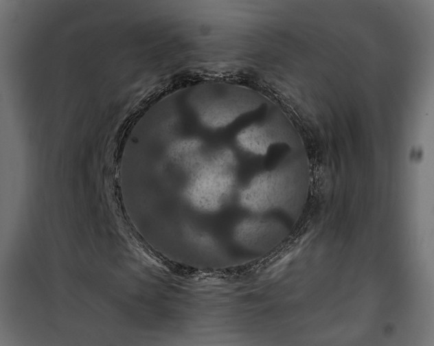 X0000101440913200807141302