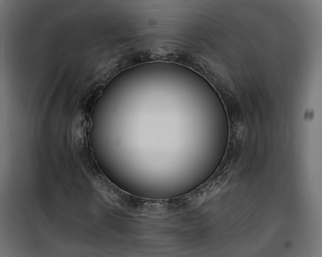 X0000101440914200807141302