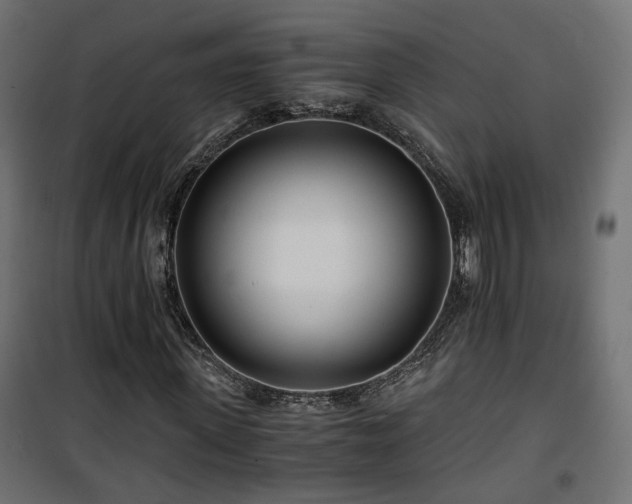 X0000101440915200807141302