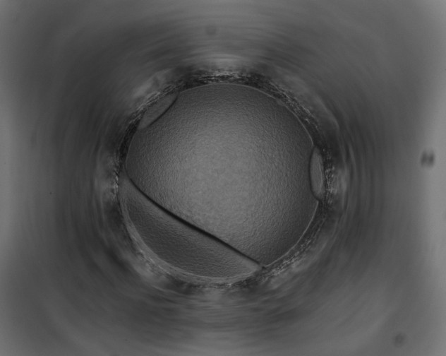 X0000101440916200807141302