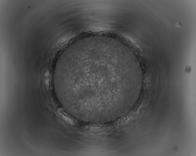 X0000101440917200807141302