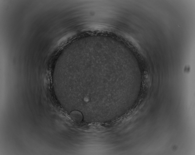 X0000101440918200807141302