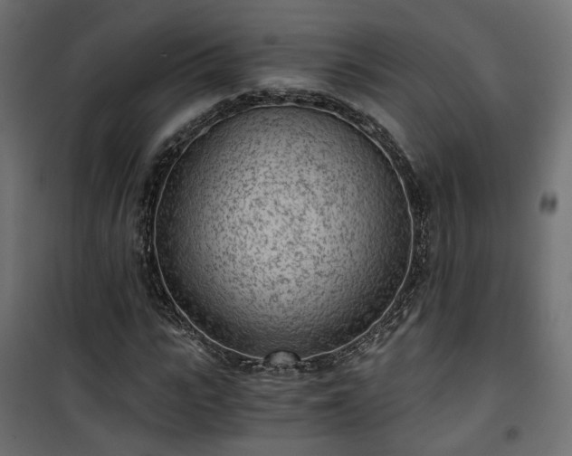 X0000101440919200807141302