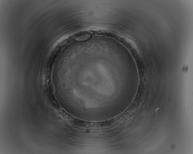 X0000101440920200807141302