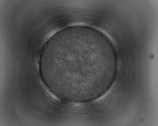 X0000101440921200807141302