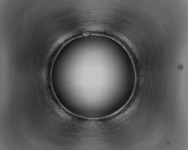 X0000101440922200807141302