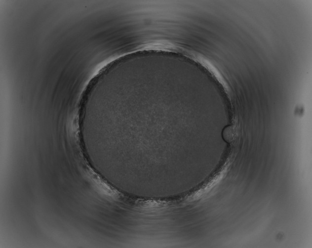 X0000101440923200807141302