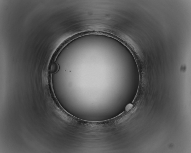 X0000101440924200807141302