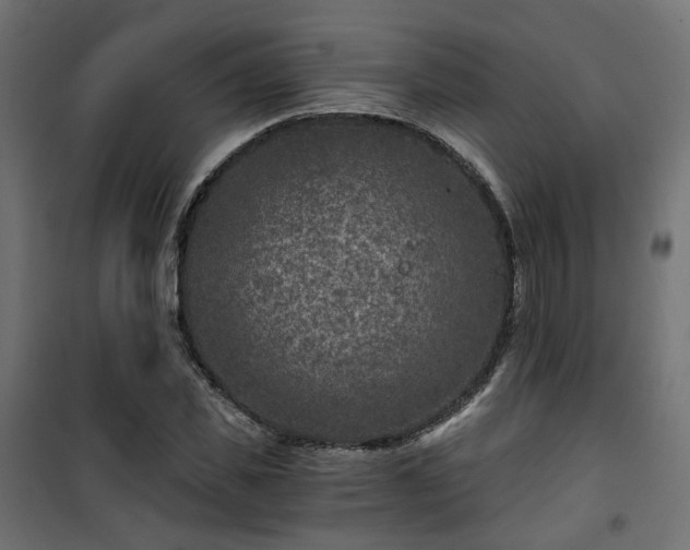 X0000101440925200807141302