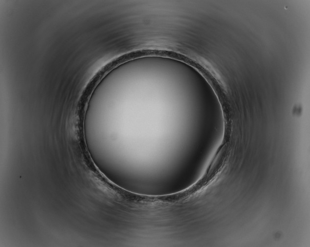 X0000101440926200807141302