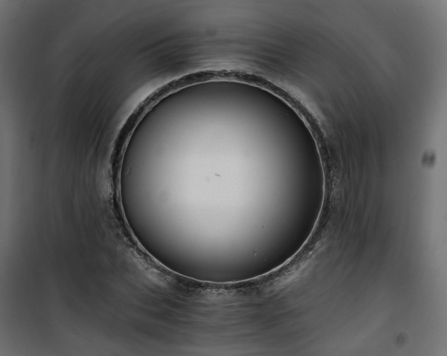 X0000101440927200807141302