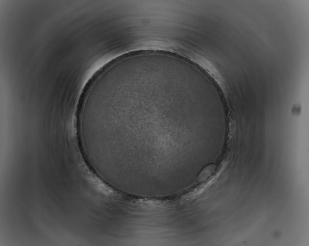 X0000101440928200807141302